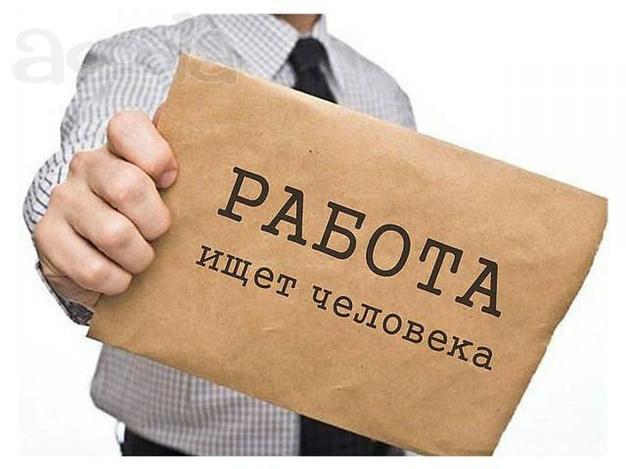 Оцифровщик текста (на дому)