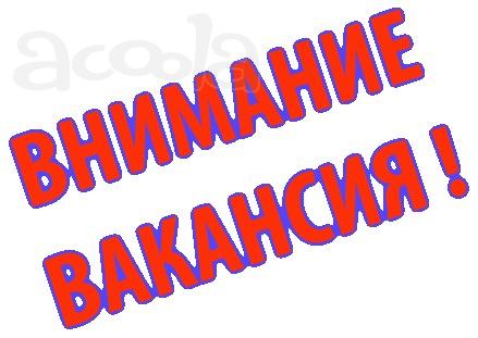 Помощник руководителя