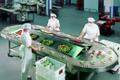 Сборщицы-упаковщики питания в Аэропорт