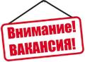 Работа для девушек без опыта