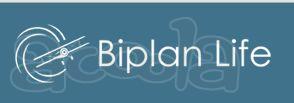 MLM-бизнес Проект BiplanLife