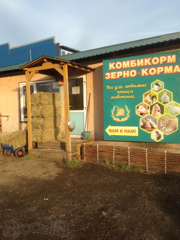 Грузчик по вызову (подработка) оплата сразу