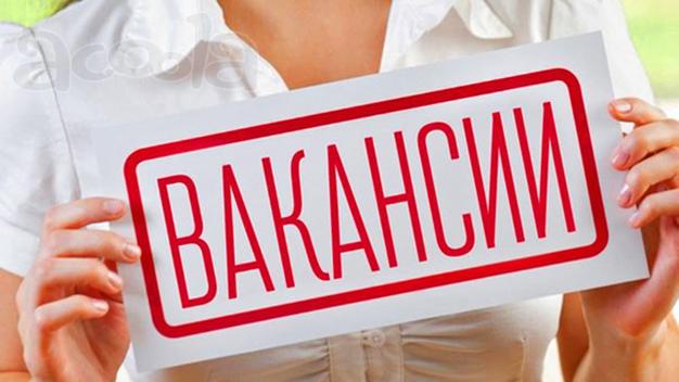 Номинальный директор, Временный директор, Курьер-регистратор