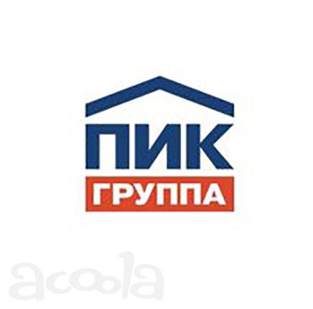 Помощник руководителя