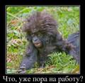 Оператор по работе с клиентами