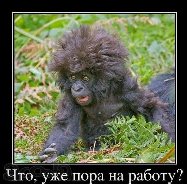 Оператор по работе с клиентами