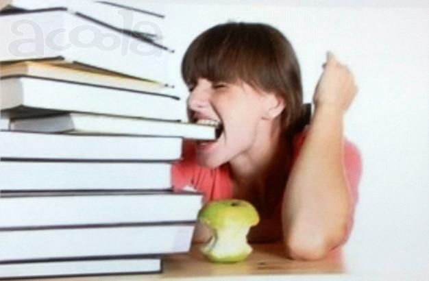 Французский и английский языки в Бишкеке учитель репетитор преподаватель