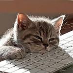 Работа (подработка) на дому